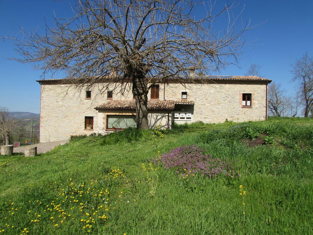 Il Gelso Room&Breakfast Pennabilli Exterior photo